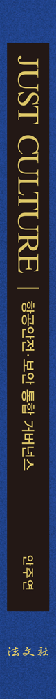 항공안전ㆍ보안 통합 거버넌스 책등